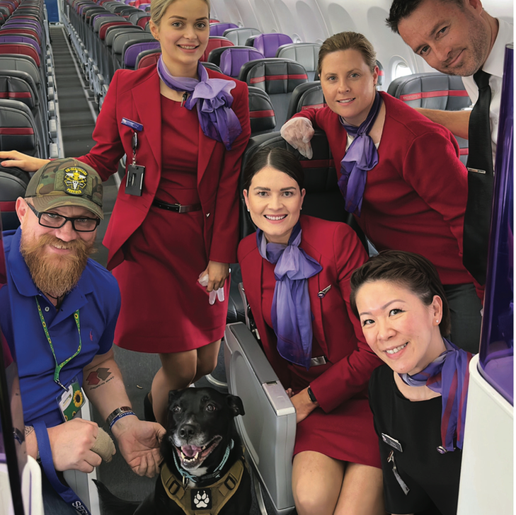 Assistance Dog Nomi